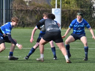 dsc_1366-2.jpg - JPEG - 419.1 ko - 2000×1488 px