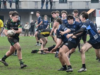 dsc_1964-4.jpg - JPEG - 345.1 ko - 1500×1116 px