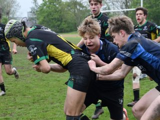 dsc_2017-3.jpg - JPEG - 291.2 ko - 1500×1119 px