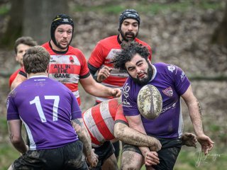 _nz87848.jpg - JPEG - 230.3 ko - 1024×766 px