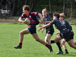 dsc_3173-4.jpg - JPEG - 278.9 ko - 1500×1127 px