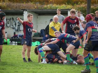 p1280201.jpg - JPEG - 499.5 ko - 2000×1502 px