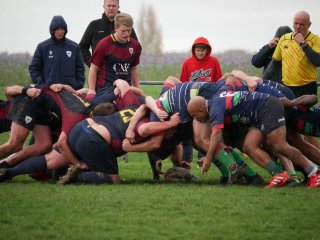 p1280359.jpg - JPEG - 365.2 ko - 2000×1502 px