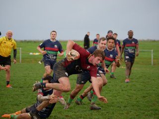 p1280420.jpg - JPEG - 337 ko - 2000×1502 px