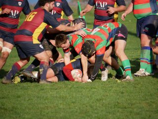 p1280543.jpg - JPEG - 497.7 ko - 2000×1502 px