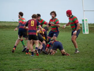 p1280571.jpg - JPEG - 466 ko - 2000×1502 px