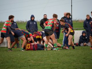 p1280659.jpg - JPEG - 348.3 ko - 2000×1502 px