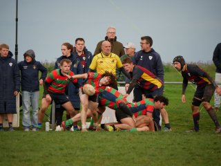 p1280682.jpg - JPEG - 363.9 ko - 2000×1502 px