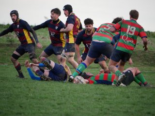 p1280762.jpg - JPEG - 361.4 ko - 2000×1502 px