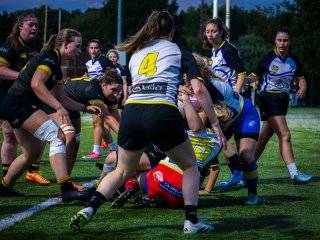 p1468889.jpg - JPEG - 604.5 ko - 2000×1501 px