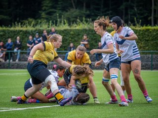 p1504287.jpg - JPEG - 551.5 ko - 2000×1501 px