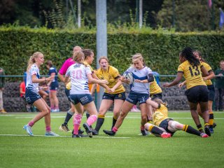 p1504478.jpg - JPEG - 569 ko - 2000×1501 px