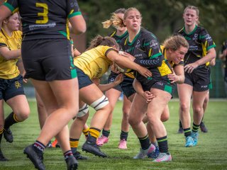 p1516303.jpg - JPEG - 511.7 ko - 2000×1502 px