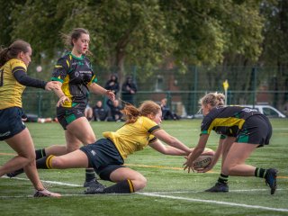 p1516304.jpg - JPEG - 447.2 ko - 2000×1502 px