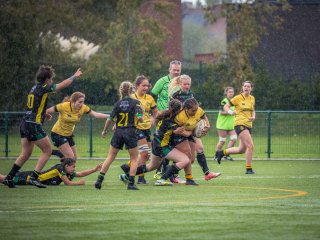 p1516425.jpg - JPEG - 557.1 ko - 2000×1501 px