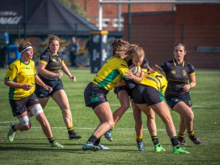 p1527105.jpg - JPEG - 545.3 ko - 2000×1501 px