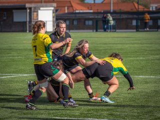 p1527298.jpg - JPEG - 526.8 ko - 2000×1501 px