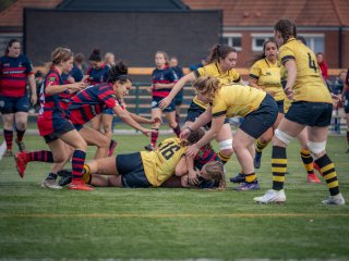 p1539887.jpg - JPEG - 446.7 ko - 2000×1502 px