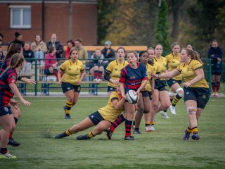 p1539905.jpg - JPEG - 474.3 ko - 2000×1501 px