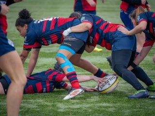 p1540673.jpg - JPEG - 541.6 ko - 2000×1501 px