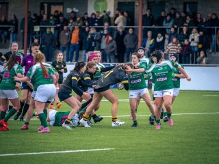 p1563927.jpg - JPEG - 584.5 ko - 2000×1501 px