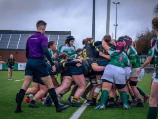 p1563973.jpg - JPEG - 491.5 ko - 2000×1501 px