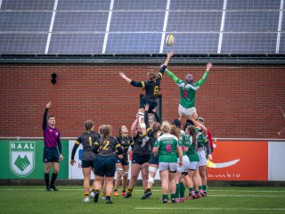 p1564058.jpg - JPEG - 644.2 ko - 2000×1501 px