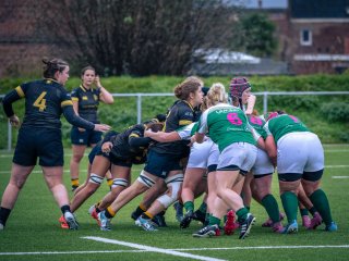 p1564195.jpg - JPEG - 500.9 ko - 2000×1501 px