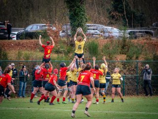 p1575718.jpg - JPEG - 688.1 ko - 2000×1502 px