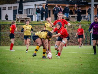 p1575824.jpg - JPEG - 553.5 ko - 2000×1502 px