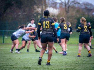 p1586242.jpg - JPEG - 404.9 ko - 2000×1502 px