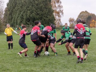 u18_binche_-_antwerpen_2024_-_rugby_-_rcc_binche_-_www.photoperinne.be_-_photo_sportive_-12.jpg - JPEG - 570.2 ko - 2000×1500 px
