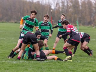 u18_binche_-_antwerpen_2024_-_rugby_-_rcc_binche_-_www.photoperinne.be_-_photo_sportive_-38.jpg - JPEG - 495.4 ko - 2000×1500 px