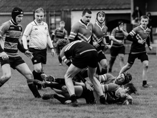 u18_binche_-_antwerpen_2024_-_rugby_-_rcc_binche_-_www.photoperinne.be_-_photo_sportive_-41.jpg - JPEG - 494 ko - 2000×1500 px