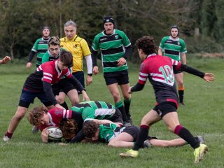 u18_binche_-_antwerpen_2024_-_rugby_-_rcc_binche_-_www.photoperinne.be_-_photo_sportive_-48.jpg - JPEG - 491.1 ko - 2000×1500 px