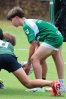 079-img_7084.jpg - JPEG - 393.6 ko - 1500×2265 px