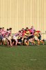 img_12252.jpg - JPEG - 662.1 ko - 1500×2248 px