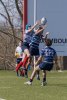 u16_rcl-boitfort_29_march_2025-28.jpg - JPEG - 820.4 ko - 2000×2998 px