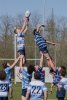 u16_rcl-boitfort_29_march_2025-46.jpg - JPEG - 666 ko - 2000×2998 px