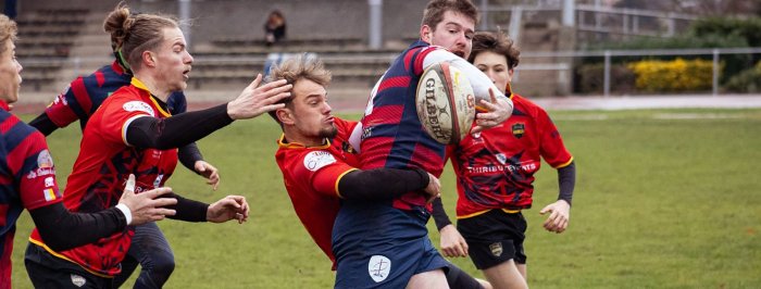 D1 - 8e journée : les compos