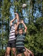 10092023-_nz81940.jpg - JPEG - 279.3 ko - 784×1024 px